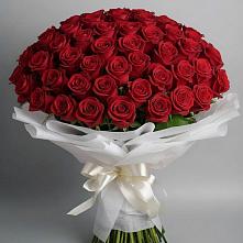 Букет 101 Красная роза Блэк Мэджик в Большой Ижоре