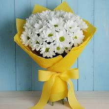 Букет цветов из:  Хризантемы в Большой Ижоре