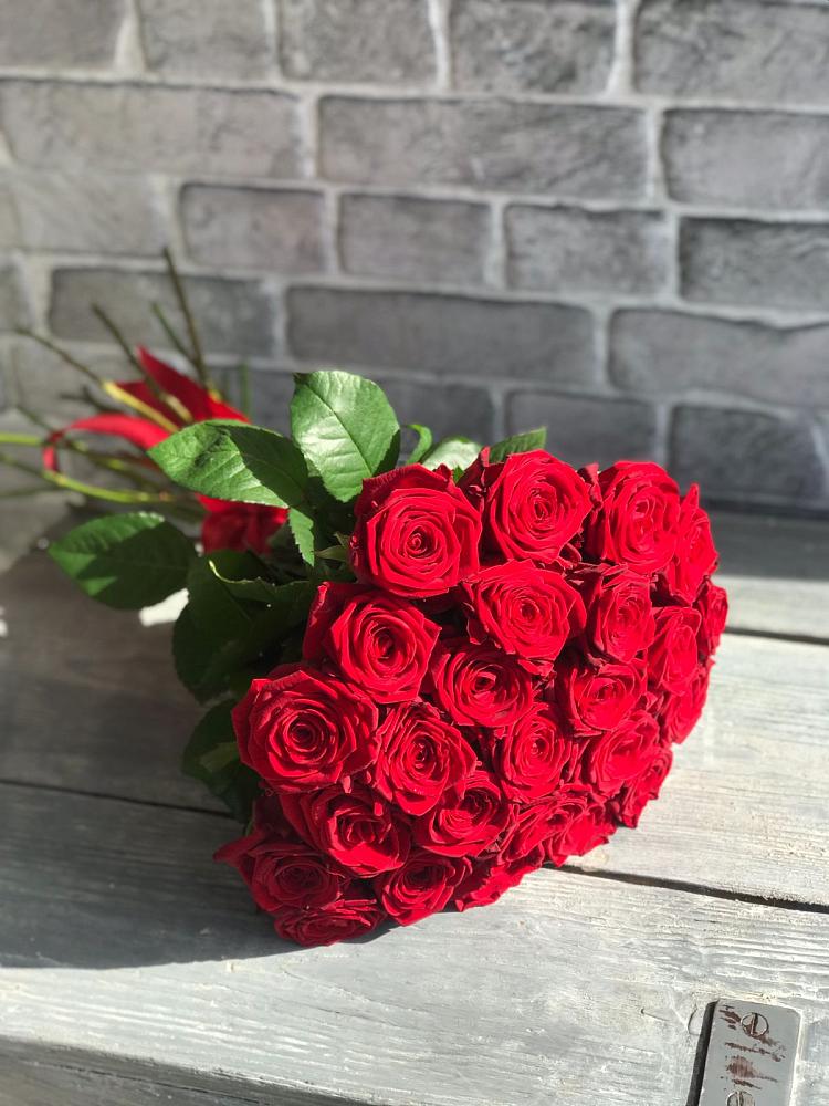 Букет Красные розы Фридом в Большой Ижоре