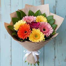 Букет цветов из:  Герберы в Большой Ижоре