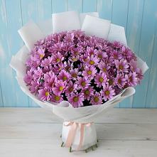 Букет цветов из:  Хризантемы #REPLACE_PRED# Большой Ижоре