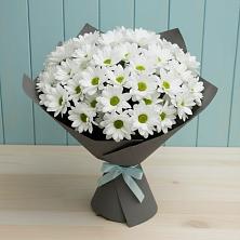 Букет цветов из:  Хризантемы в Большой Ижоре