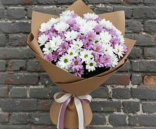 Букет цветов из:  Хризантемы в Большой Ижоре