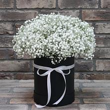 Цветочная композиция из Гипсофила в шляпной коробке #REPLACE_PRED# Большой Ижоре