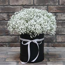 Цветочная композиция из Гипсофила в шляпной коробке в Большой Ижоре