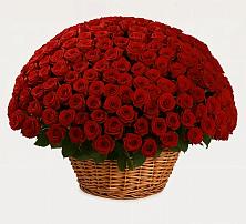 Премиум букет из: Розы в Большой Ижоре